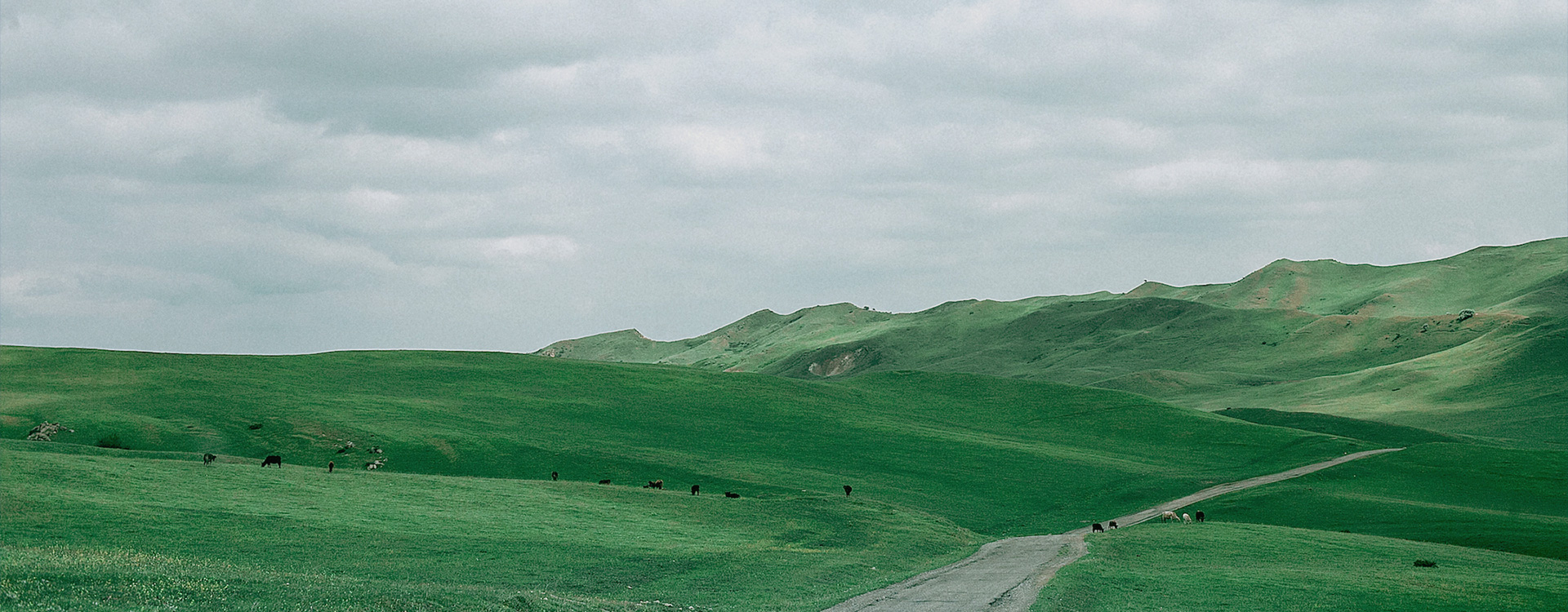 深圳市裕鑫包裝制品有限公司