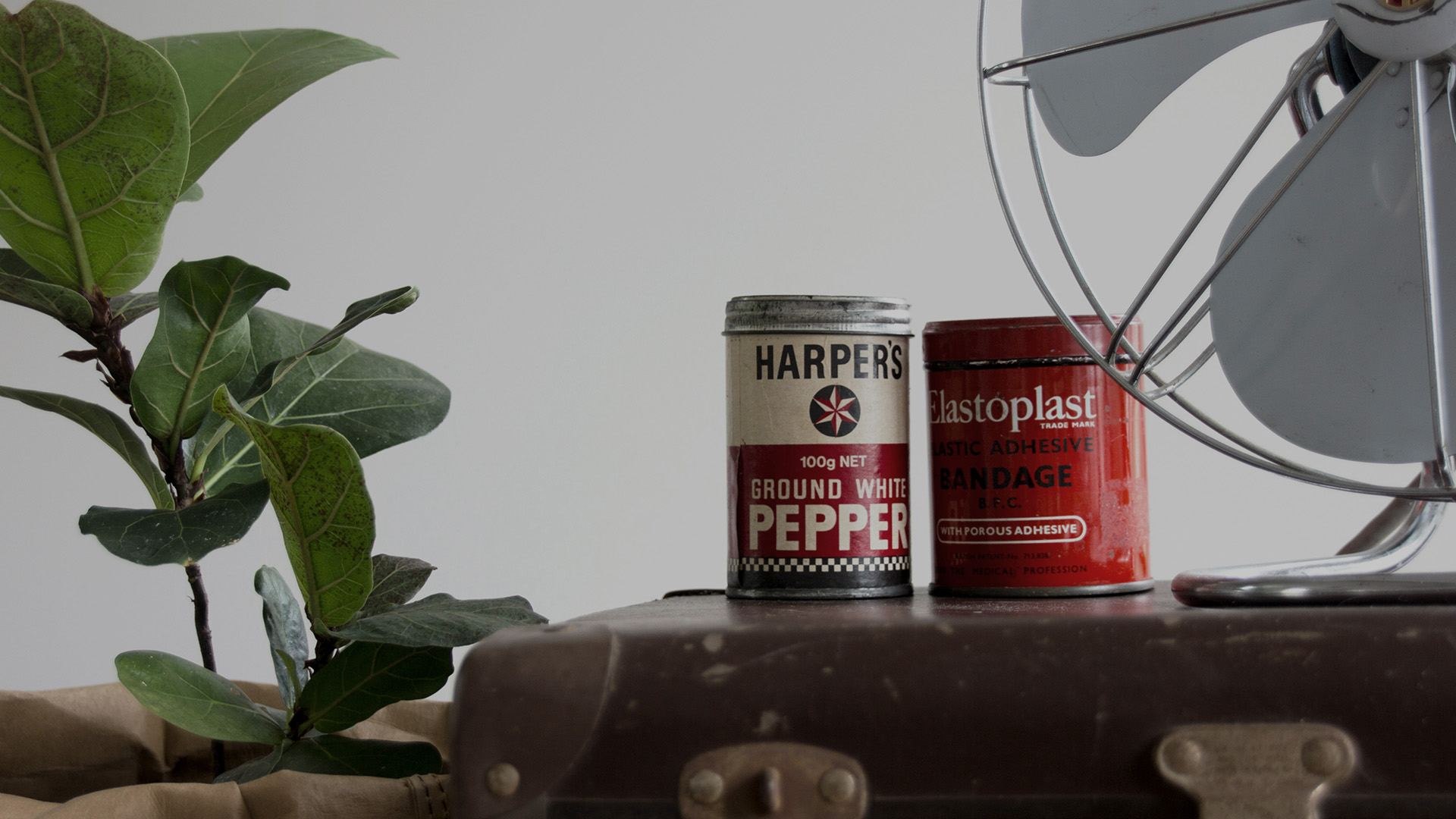 包裝新标準，友(yǒu)鵬創造